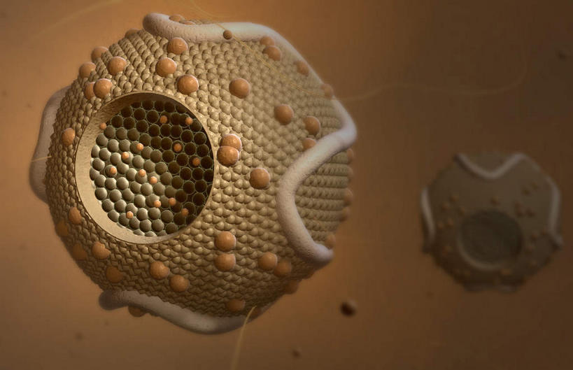 无人,横图,插画,室内,特写,白天,正面,数码,科技,静物,阴影,黑色背景,网络,医学,细胞,高光,几何,计算机图形,合成,图画,画,人体,电脑合成图,数码合成图,生物学,漫画,生理学,写实,具体,具象,胆固醇,高密度脂蛋白,脂蛋白,彩图