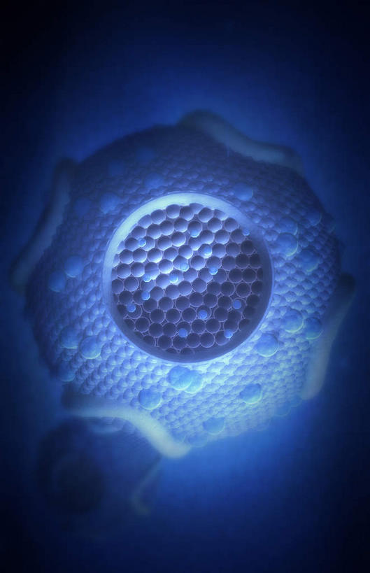 无人,竖图,插画,室内,特写,白天,正面,数码,科技,静物,阴影,黑色背景,网络,医学,细胞,高光,几何,计算机图形,合成,图画,画,人体,电脑合成图,数码合成图,生物学,漫画,生理学,写实,具体,具象,胆固醇,高密度脂蛋白,脂蛋白,彩图