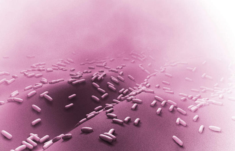 无人,横图,插画,室内,特写,白天,白色背景,正面,数码,科技,静物,阴影,网络,医学,细胞,高光,几何,计算机图形,合成,图画,画,人体,电脑合成图,数码合成图,生物学,漫画,生理学,写实,具体,具象,杆菌,枯草芽孢杆菌,蜡样芽孢杆菌,肉毒杆菌,炭疽,彩图