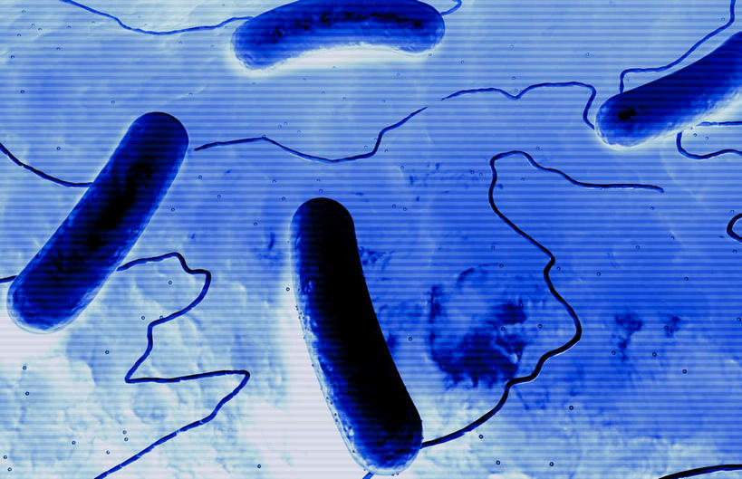 无人,横图,插画,室内,特写,白天,白色背景,正面,数码,科技,静物,阴影,网络,医学,细胞,高光,几何,计算机图形,合成,图画,画,人体,电脑合成图,数码合成图,生物学,漫画,生理学,写实,具体,具象,杆菌,彩图,沙门氏菌