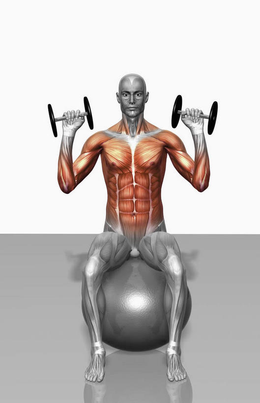 西方人,动脉,静脉,骨骼,肌肉,健壮,一个人,无人,健身房,坐,举,竖图,插画,室内,特写,白天,白色背景,正面,数码,科技,静物,哑铃,欧洲,欧洲人,仅一个男性,仅一个人,阴影,网络,医学,骨头,高光,几何,计算机图形,合成,图画,画,仅一个年轻男性,模型,托,健康,活力,力量,人体,青春,电脑合成图,数码合成图,骨架,生物学,强壮,胸肌,漫画,生理学,写实,具体,具象,二头肌,三角肌,腹外斜肌,腹直肌,男人,男性,年轻男性,白种人,举起,举手,举着,向上举,向上伸,向上托,坐着,彩图,全身,健身馆