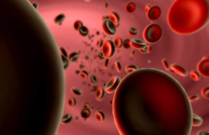 动脉,无人,横图,插画,室内,特写,白天,白色背景,正面,数码,科技,静物,阴影,网络,红血球,医学,细胞,高光,几何,计算机图形,合成,图画,画,人体,电脑合成图,数码合成图,生物学,血细胞,漫画,生理学,写实,具体,具象,红细胞,彩图