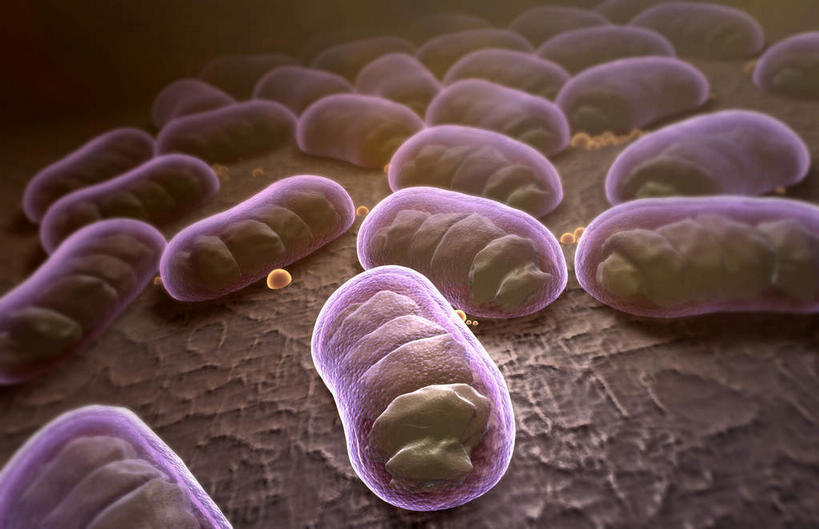 无人,横图,插画,室内,特写,白天,正面,数码,科技,静物,阴影,黑色背景,网络,细菌,医学,细胞,高光,几何,计算机图形,合成,图画,画,人体,电脑合成图,数码合成图,生物学,漫画,生理学,写实,具体,具象,枯草杆菌,彩图