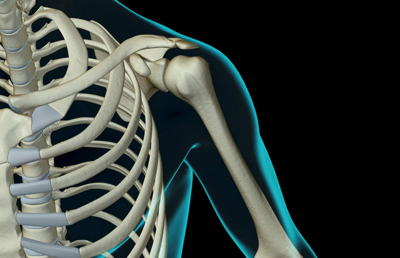 肩胛骨,动脉,静脉,骨骼,肋骨,脊椎,无人,横图,插画,x光片,室内,特写,白天,正面,数码,科技,静物,阴影,黑色背景,局部,辐射,科学,网络,医学,骨头,高光,几何,计算机图形,合成,图画,画,模型,人体,电脑合成图,数码合成图,骨架,医疗,生物学,科学技术,x射线,x光,漫画,生理学,写实,具体,具象,尺骨,桡骨,脊柱,半身,彩图,电磁波,电磁辐射