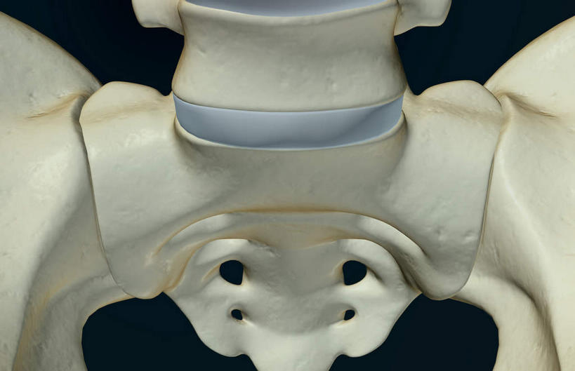 动脉,静脉,骨骼,脊椎,无人,横图,插画,x光片,室内,特写,白天,正面,数码,科技,静物,阴影,黑色背景,局部,辐射,科学,网络,医学,骨头,高光,几何,计算机图形,合成,图画,画,模型,人体,摄影,影棚,部分,电脑合成图,数码合成图,骨架,医疗,生物学,科学技术,x射线,x光,漫画,生理学,写实,具体,具象,髋骨,尾骨,半身,彩图,影棚拍摄,拍摄,电磁波,电磁辐射