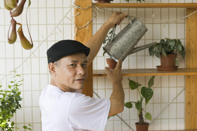 东方人,一个人,笑,微笑,横图,室内,白天,侧面,T恤衫,植物,柜子,帽子,亚洲,仅一个男性,仅一个人,握,阴影,光线,盆栽,影子,盆景,拿,T恤,拿着,扭头,黄种人,浇水,架子,花洒,莲蓬头,绿色,自然,橱柜,转头,仅一个老年男性,浇,握着,生长,成长,贝雷帽,喷雾头,老年男性,男人,男性,亚洲人,半身,彩图