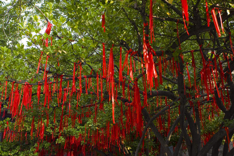 无人,横图,室外,白天,仰视,旅游,度假,名胜古迹,植物,标志建筑,地标,建筑,中国,亚洲,许多,吊挂,悬挂,阴影,遗迹,艺术,光线,影子,手工艺品,很多,挂,古迹,文化,文物,娱乐,建设,古建筑,山东,树,树木,排列,红色,绿色,阳光,自然,工艺品,中国结,享受,休闲,旅游胜地,放松,生长,成长,高雅,饰物,古文明,东亚,山东省,济南,中华人民共和国,华东地区,省会,自信心,品位,鲁,济南市,摆列,历城区,彩图,低角度拍摄,布列,分列,大明湖