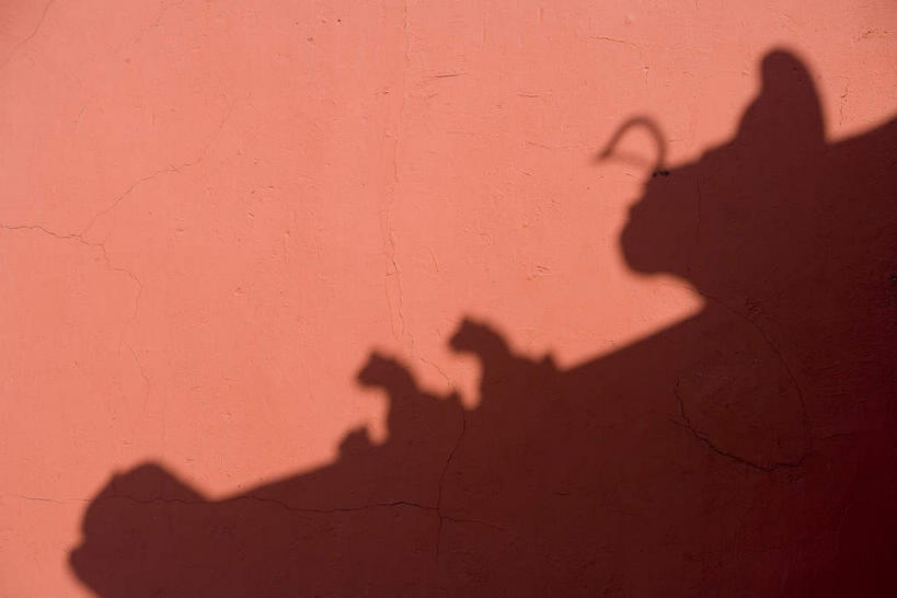 无人,故宫,横图,室外,特写,白天,正面,北京,中国,亚洲,阴影,光线,影子,墙,首都,墙壁,墙面,红色,阳光,紫禁城,东亚,中华人民共和国,东城区,北京市,京,北平,华北地区,彩图,故宫博物院,北京紫禁城,北京故宫