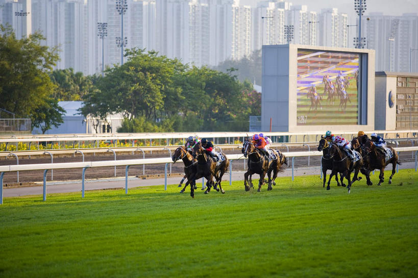 东方人,体育馆,高楼大厦,栏杆,运动场,横图,室外,白天,正面,运动服,锻炼,旅游,度假,运动,显示器,草地,草坪,美景,植物,城市风光,城市,大厦,建筑,摩天大楼,马,野生动物,香港,中国,亚洲,许多,骑马,服装,屏幕,景观,围栏,很多,许多人,注视,黄种人,娱乐,显示屏,体育场,护栏,马场,草,树,树木,骑,衣服,绿色,自然,动物,观察,看,一群人,享受,休闲,景色,放松,运输,服饰,牲畜,生长,成长,观看,港,察看,衣着,穿着,关注,室外运动,户外运动,输出设备,东亚,赛马场,湾仔,香港岛,跑马场,香港特别行政区,港澳台,中华人民共和国,运动馆,衣饰,湾仔区,港岛,男人,男性,年轻男性,亚洲人,彩图,全身,健身,大楼,高层建筑,高楼,摩天楼,香港赛马会,跑马地,运动装