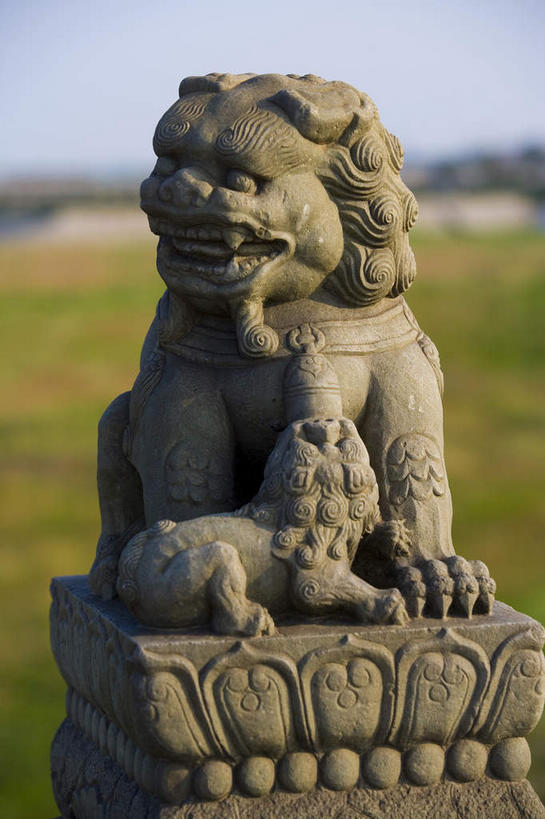 无人,竖图,室外,白天,正面,旅游,度假,草地,草坪,植物,标志建筑,地标,建筑,哺乳动物,野生动物,狮子,雕塑,北京,中国,亚洲,阴影,辟邪,艺术,装饰,光线,雕刻,雕像,影子,首都,文化,娱乐,建设,石雕,草,树,树木,一个,蓝色,绿色,蓝天,天空,阳光,自然,动物,工艺品,石狮,天,祈祷,享受,休闲,健康,旅游胜地,放松,许愿,生长,晴朗,单个,成长,纪念,祈求,美术,主题,凶猛,陈列,东亚,万里无云,中华人民共和国,北京市,京,北平,华北地区,功能,美学,驱邪,祛邪,避邪,丰台区,守护神,残暴,平安,凶残,晴空,晴空万里,彩图,全身,永定河,卢沟桥,芦沟桥