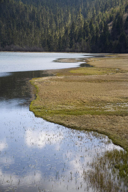 无人,公园,竖图,室外,白天,正面,旅游,度假,湖,湖泊,美景,森林,山,山脉,树林,水,植物,香格里拉,中国,亚洲,阴影,光线,影子,湖面,景观,山峰,水流,水面,山峦,娱乐,迪庆,云南,树,树木,绿色,倒影,阳光,自然,湖水,群山,享受,休闲,景色,放松,生长,成长,倒映,国家公园,自然风光,东亚,中甸,迪庆藏族自治州,云南省,中华人民共和国,西南地区,滇,迪庆州,反照,香格里拉县,普达措国家公园,彩图