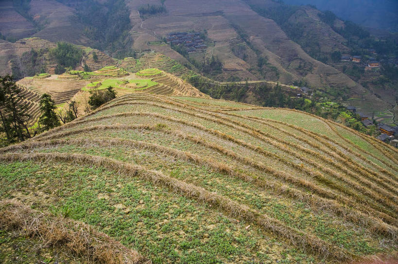 无人,农田,横图,俯视,航拍,室外,白天,旅游,度假,庄稼,梯田,农作物,草地,草坪,石头,美景,山,山脉,峡谷,植物,中国,亚洲,阴影,曲折,弯曲,光线,石子,影子,景观,山峰,山谷,山峦,娱乐,草,树,树木,绿色,阳光,自然,群山,享受,休闲,景色,放松,蜿蜒,生长,成长,广西,岩层,鸟瞰,自然风光,东亚,龙胜,龙脊梯田,广西壮族自治区,中华人民共和国,桂,华南地区,龙胜各族自治县,龙胜梯田,石块,岩石,彩图,高角度拍摄,耕地,庄稼田