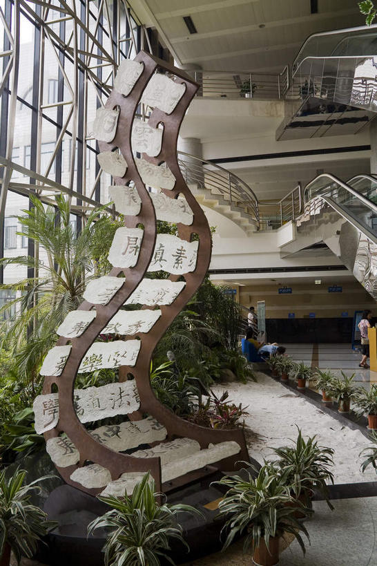 无人,图书馆,栏杆,竖图,室内,白天,正面,旅游,度假,植物,窗户,落地窗,标志建筑,地标,电梯,建筑,雕塑,上海,中国,亚洲,一排,许多,艺术,整齐,装饰,并列,并排,雕刻,雕像,盆栽,围栏,盆景,运输工具,很多,娱乐,建设,护栏,玻璃窗,排列,一个,绿色,自然,工艺品,享受,休闲,旅游胜地,放松,升降梯,生长,单个,成长,纪念,淮海路,美术,申,队列,主题,平行,陈列,玻璃幕墙,黄浦区,东亚,上海图书馆,浏览室,淮海中路,徐汇区,上海市,中华人民共和国,沪,华东地区,功能,美学,彩图,书库,图书库,公共图书馆,升降设备,阅览室