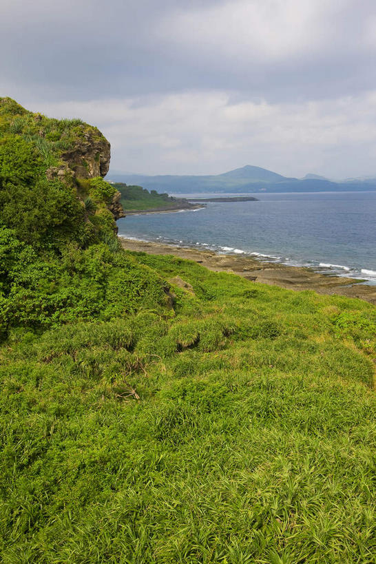 无人,竖图,室外,白天,正面,旅游,度假,草地,草坪,海浪,海洋,礁石,石头,美景,植物,台湾,中国,亚洲,石子,景观,浪花,乌云,云,阴天,云朵,云彩,娱乐,草,树,树木,绿色,天空,自然,海水,天,享受,休闲,景色,放松,生长,成长,昏暗,阴沉,自然风光,海景,东亚,垦丁国家公园,屏东县,港澳台,中华人民共和国,台湾省,大海,风浪,海,海水的波动,礁,近岸浪,石块,岩石,涌浪,彩图,屏,屏东,屏县,恒春半岛,珊瑚礁岛,台
