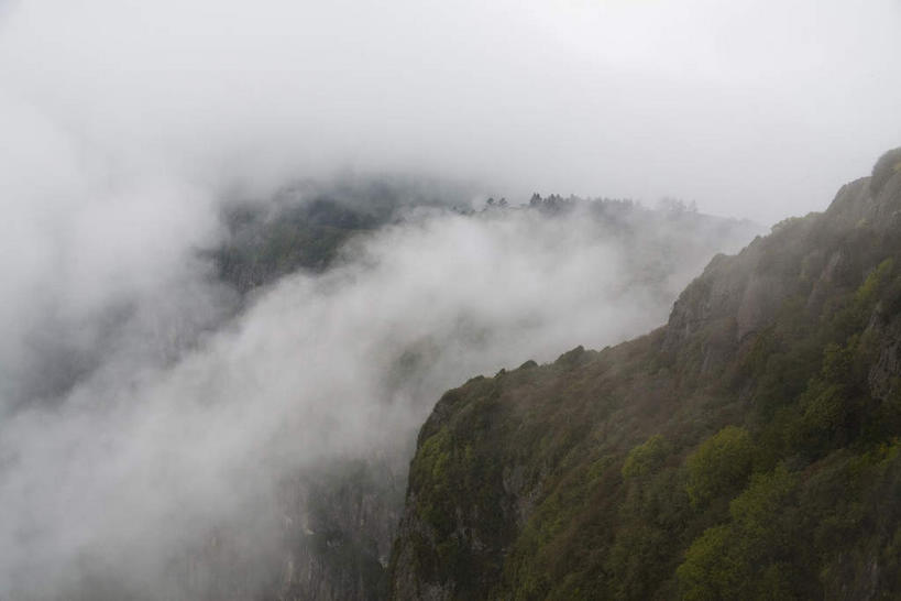 无人,横图,俯视,室外,白天,旅游,度假,美景,森林,山,山脉,树林,植物,雾,峨眉山,中国,亚洲,朦胧,模糊,景观,山峰,山峦,娱乐,树,树木,绿色,自然,群山,享受,休闲,景色,放松,四川省,生长,成长,迷雾,自然风光,东亚,四川,中华人民共和国,西南地区,川,大雾,彩图,高角度拍摄,峨眉,峨眉山市