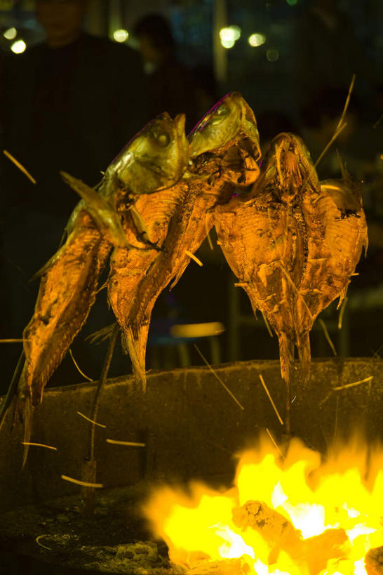 无人,竖图,室外,特写,夜晚,正面,烹饪,烧烤,热情,火,金属制品,阴影,朦胧,模糊,反射,金属,火焰,影子,烤鱼,肉,鱼肉,料理,食品,烤架,烤肉,燃烧,菜肴,美食,肉类,架子,食物,铁架,佳肴,支撑,固定,肉食,彩图