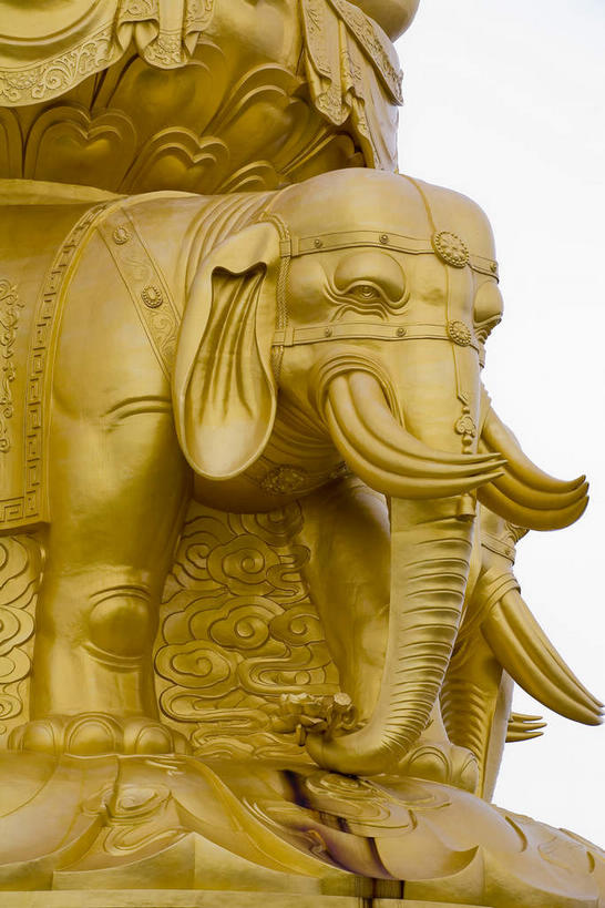 无人,站,竖图,室外,白天,正面,旅游,度假,名胜古迹,标志建筑,地标,建筑,哺乳动物,大象,野生动物,雕塑,峨眉山,中国,亚洲,一头,节日,遗迹,艺术,装饰,雕刻,雕像,古迹,文化,文物,娱乐,建设,古建筑,金顶,一个,动物,工艺品,祈祷,站着,享受,休闲,健康,金色,旅游胜地,放松,许愿,宗教,佛教,信仰,四川省,单个,纪念,祈求,美术,主题,陈列,古文明,东亚,四川,中华人民共和国,西南地区,功能,美学,川,释教,平安,象,站立,半身,彩图,峨眉,峨眉山金顶,峨眉山市,金顶十方普贤像,十方普贤菩萨