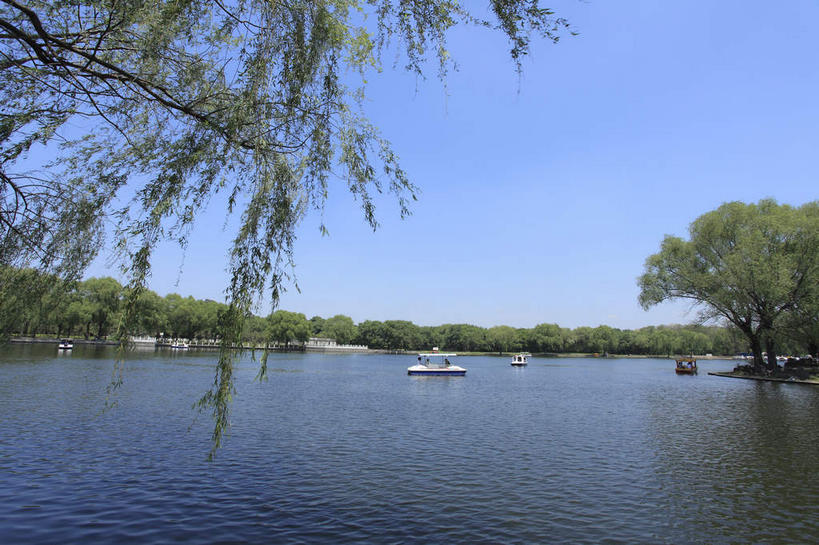 无人,横图,室外,白天,正面,旅游,度假,湖,湖泊,美景,树林,水,植物,轮船,船,中国,亚洲,阴影,光线,影子,湖面,景观,水流,水面,娱乐,树,树木,蓝色,绿色,蓝天,天空,阳光,自然,交通工具,湖水,天,享受,休闲,墓地,景色,放松,生长,晴朗,成长,坟墓,陵墓,自然风光,载具,坟场,东亚,辽宁,辽宁省,沈阳,万里无云,中华人民共和国,省会,沈阳市,辽,东北地区,晴空,晴空万里,彩图,北陵,清昭陵,昭陵,东北,中国东北地区,东北三省,东三省