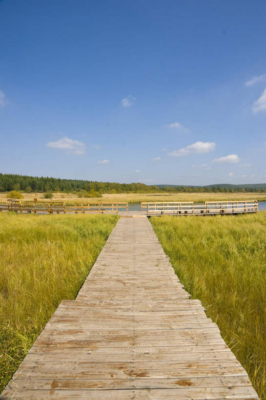 无人,竖图,室外,白天,正面,消失点,旅游,度假,草地,草原,美景,植物,中国,阴影,光线,木板,影子,景观,旷野,云,云朵,桥,木桥,云彩,娱乐,栈桥,草,树,树木,蓝色,绿色,白云,蓝天,天空,阳光,自然,天,享受,休闲,景色,放松,生长,晴朗,成长,人行桥,木板桥,自然风光,原野,独木桥,东亚,中华人民共和国,华北地区,河北,河北省,冀,承德,承德市,晴空,彩图,没影点,灭点,坝上草原