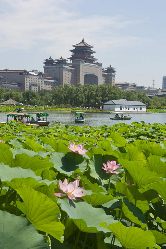 帆船,无人,竖图,室外,白天,正面,度假,纯洁,美景,床,城市风光,城市,船,莲花,叶子,北京,中国,亚洲,阴影,光线,影子,墙,池塘,景观,水池,云,云朵,游艇,荷叶,床单,首都,云彩,娱乐,被子,墙壁,墙面,粉色,蓝色,白云,蓝天,天空,阳光,交通工具,天,享受,休闲,景色,放松,单人床,晴朗,莲花池,被单,富贵,神圣,载具,东亚,纯净,中华人民共和国,北京市,京,北平,华北地区,莲叶,六月花神,正直,丰台区,鞭蕖,鞭蓉,芙蕖,菡萏,荷花,六月春,藕花,水旦,水芙蓉,水华,水芸,溪客,叶,叶片,晴空,彩图,西客站,莲花池公园,北京西客站,北京西站
