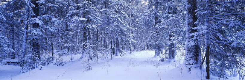 无人,横图,室外,白天,正面,旅游,度假,美景,山脉,雪,大雪,道路,路,长白山,中国,亚洲,冰,积雪,景观,雪景,冬季,冬天,小路,交通,娱乐,天空,自然,天,享受,休闲,景色,放松,寒冷,乡间小路,冰冷,自然风光,雾凇,东亚,吉林,吉林省,中华人民共和国,严寒,冰凉,酷寒,凛冽,凛凛,极冷,东北地区,吉,树挂,彩图,长白山脉,东北,中国东北地区,东北三省,东三省
