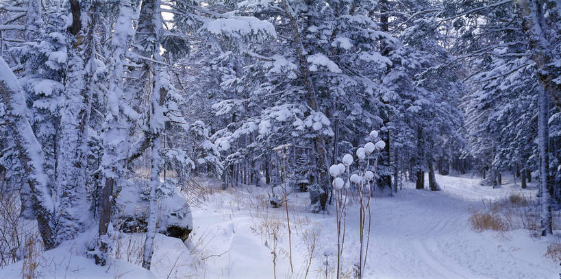 无人,横图,室外,白天,正面,旅游,度假,美景,山脉,雪,大雪,道路,路,长白山,中国,亚洲,冰,积雪,景观,雪景,冬季,冬天,小路,交通,娱乐,天空,自然,天,享受,休闲,景色,放松,寒冷,乡间小路,冰冷,自然风光,雾凇,东亚,吉林,吉林省,中华人民共和国,严寒,冰凉,酷寒,凛冽,凛凛,极冷,东北地区,吉,树挂,彩图,长白山脉,东北,中国东北地区,东北三省,东三省