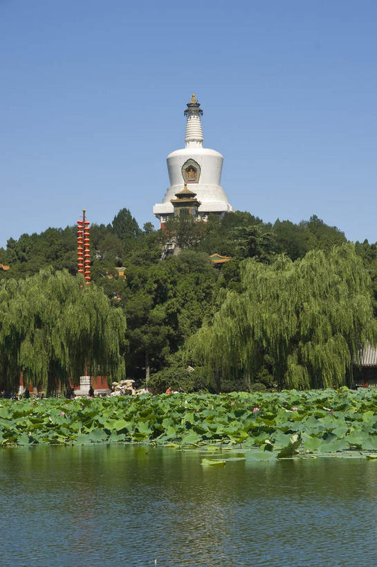 无人,公园,竖图,室外,白天,正面,旅游,度假,纯洁,标志建筑,地标,建筑,莲花,叶子,北海公园,北京,中国,亚洲,阴影,光线,影子,池塘,水池,云,云朵,塔,荷叶,首都,云彩,娱乐,建设,宝塔,白塔,佛塔,蓝色,白云,蓝天,天空,阳光,天,享受,休闲,旅游胜地,放松,晴朗,富贵,神圣,东亚,纯净,中华人民共和国,北京市,京,北平,华北地区,莲叶,六月花神,正直,北京北海公园,浮图,浮屠,鞭蕖,鞭蓉,芙蕖,菡萏,荷花,六月春,藕花,水旦,水芙蓉,水华,水芸,溪客,叶,叶片,晴空,彩图,塔婆,浮图塔,浮头,佛图,北海白塔,琼华岛