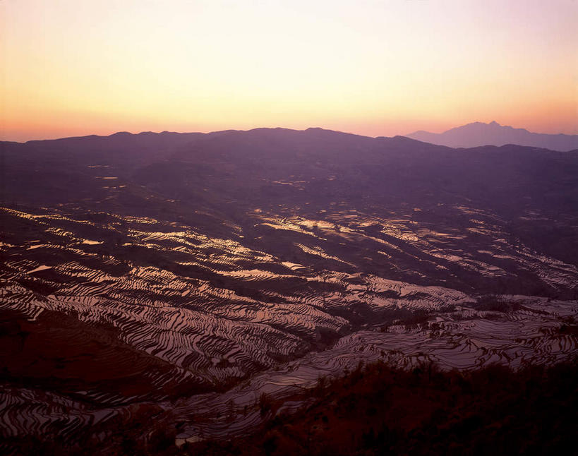 无人,农田,横图,室外,白天,正面,旅游,度假,农业,庄稼,梯田,农作物,美景,日落,森林,山,山脉,树林,水,植物,中国,亚洲,曲折,弯曲,液体,稻田,景观,山峰,水滴,晚霞,霞光,落日,山峦,娱乐,云南,树,树木,绿色,自然,黄昏,群山,享受,休闲,景色,彩霞,放松,蜿蜒,生长,成长,自然风光,东亚,元阳,云南省,中华人民共和国,西南地区,滇,红河,红河州,红河哈尼族彝族自治州,夕照,薄暮,哀牢山,元阳梯田,元阳县,夕阳,彩图,耕地,庄稼田,傍晚,元阳哈尼族梯田,斜阳