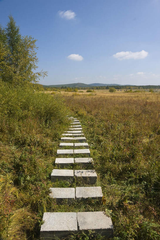 无人,竖图,室外,白天,正面,旅游,度假,草地,草原,美景,植物,中国,阴影,光线,木板,影子,景观,旷野,云,云朵,桥,木桥,云彩,娱乐,栈桥,草,树,树木,蓝色,绿色,白云,蓝天,天空,阳光,自然,天,享受,休闲,景色,放松,生长,晴朗,成长,人行桥,木板桥,自然风光,原野,独木桥,东亚,中华人民共和国,华北地区,河北,河北省,冀,承德,承德市,晴空,彩图,坝上草原