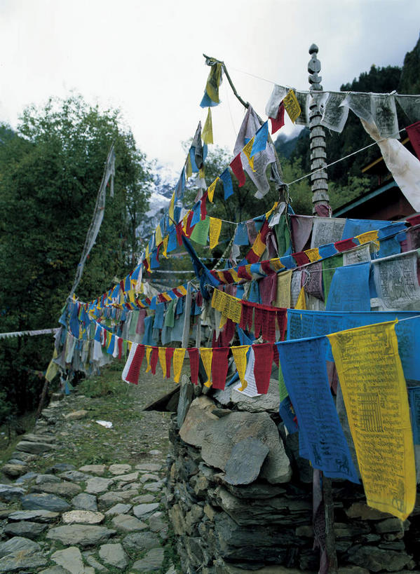 无人,竖图,室外,白天,仰视,旅游,度假,美景,树林,植物,道路,路,中国,亚洲,许多,吊挂,悬挂,阴影,节日,光线,影子,景观,小路,交通,很多,挂,文化,娱乐,迪庆,梅里雪山,云南,经幡,石板路,树,树木,蓝色,绿色,蓝天,天空,阳光,自然,天,祈祷,享受,休闲,健康,景色,放松,许愿,宗教,信仰,生长,晴朗,成长,纪念,祈求,自然风光,东亚,迪庆藏族自治州,云南省,德钦县,万里无云,风马旗,中华人民共和国,西南地区,滇,迪庆州,平安,晴空,晴空万里,彩图,低角度拍摄,雪山太子,明永冰川,明永恰,奶诺戈汝冰川