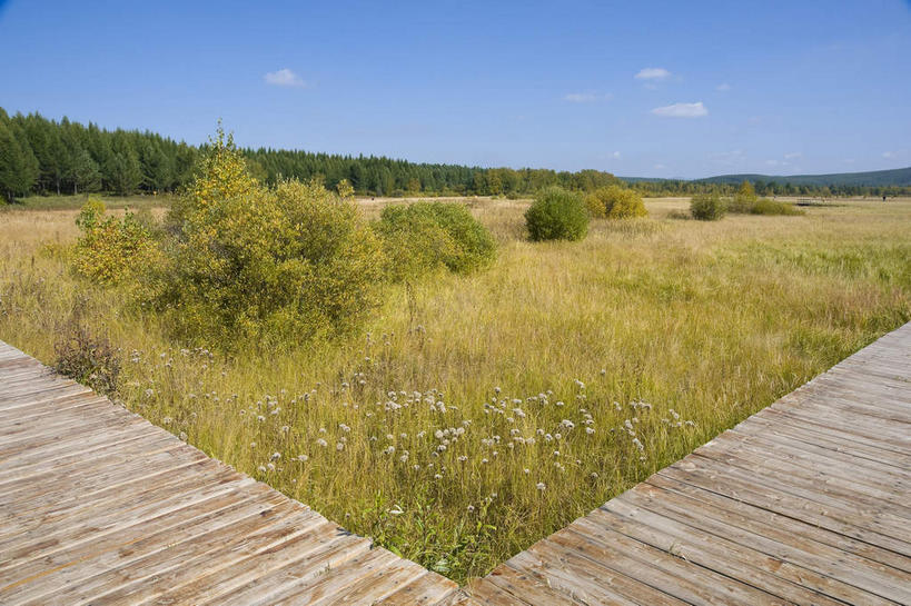无人,横图,室外,白天,正面,旅游,度假,草地,草原,美景,植物,中国,亚洲,阴影,光线,木板,影子,景观,旷野,云,云朵,桥,木桥,云彩,娱乐,栈桥,草,树,树木,蓝色,绿色,白云,蓝天,天空,阳光,自然,天,享受,休闲,景色,放松,生长,晴朗,成长,人行桥,木板桥,自然风光,原野,独木桥,东亚,中华人民共和国,华北地区,河北,河北省,冀,承德,承德市,晴空,彩图,坝上草原