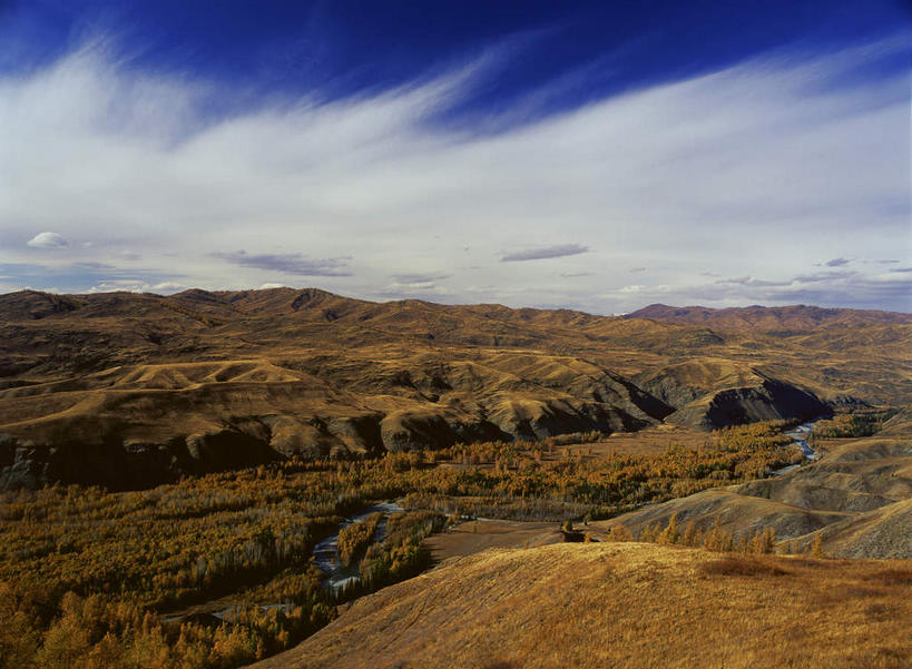 无人,横图,室外,白天,正面,旅游,度假,美景,秋季,森林,山,山脉,树林,植物,蒙古,中国,亚洲,阴影,枯萎,光线,影子,景观,山峰,云,云朵,枯草,山峦,云彩,娱乐,草,树,树木,黄色,蓝色,绿色,白云,蓝天,天空,阳光,自然,群山,天,享受,休闲,景色,放松,生长,晴朗,成长,自然风光,东亚,新疆,中华人民共和国,新疆维吾尔自治区,西北地区,草原之国,蒙古国,外蒙,外蒙古,晴空,秋,秋天,彩图,阿尔泰山脉,新,额尔齐斯河