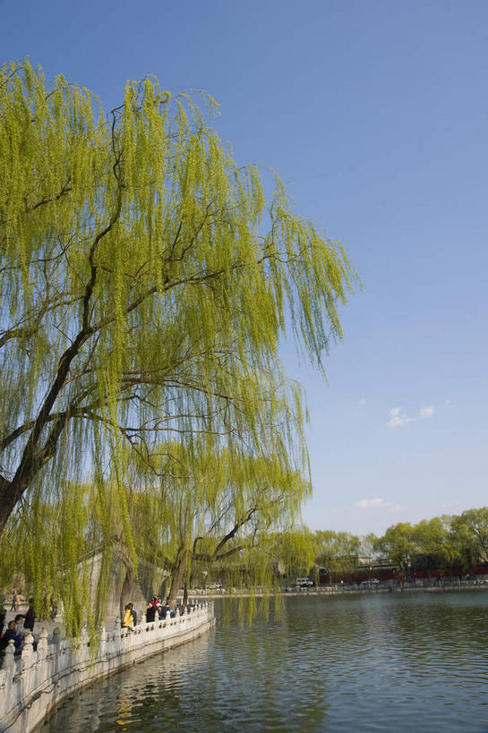 无人,公园,栏杆,竖图,室外,白天,仰视,旅游,度假,湖,湖泊,美景,树林,水,植物,北海公园,北京,中国,亚洲,阴影,光线,影子,湖面,景观,水流,水面,围栏,首都,娱乐,护栏,树,树木,蓝色,绿色,蓝天,天空,阳光,自然,湖水,天,享受,休闲,景色,放松,生长,晴朗,成长,自然风光,东亚,万里无云,中华人民共和国,北京市,京,北平,华北地区,北京北海公园,晴空,晴空万里,彩图,低角度拍摄