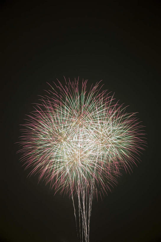 无人,公园,竖图,室外,夜晚,仰视,烟火,北京,中国,亚洲,黑色背景,首都,辉煌,黄色,天空,焰火,天,灿烂,璀璨,礼花,光辉,东亚,中华人民共和国,北京市,京,北平,华北地区,朝阳区,花炮,礼花炮,绚烂,朝阳公园,光耀,烟花,彩图,低角度拍摄