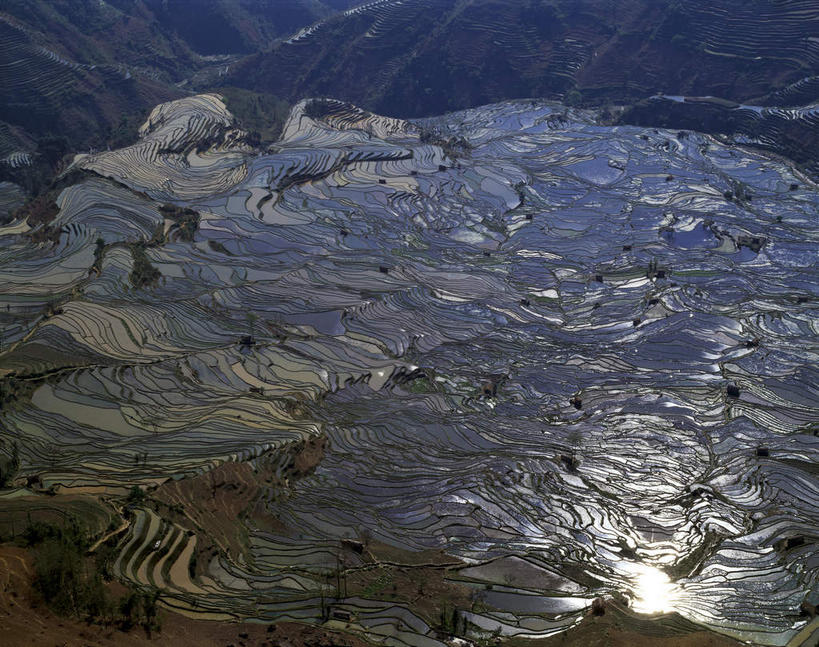 无人,农田,横图,俯视,室外,白天,旅游,度假,农业,庄稼,梯田,农作物,美景,水,中国,亚洲,阴影,曲折,弯曲,光线,液体,影子,稻田,景观,水滴,娱乐,云南,倒影,阳光,自然,享受,休闲,景色,放松,蜿蜒,倒映,自然风光,东亚,元阳,云南省,中华人民共和国,西南地区,滇,红河,红河州,红河哈尼族彝族自治州,反照,哀牢山,元阳梯田,元阳县,彩图,高角度拍摄,耕地,庄稼田,元阳哈尼族梯田