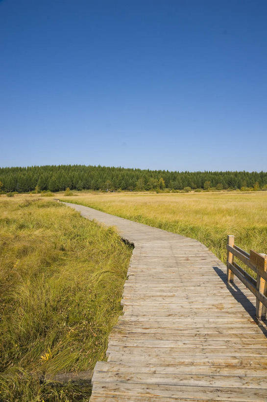 无人,竖图,室外,白天,正面,旅游,度假,草地,草原,美景,植物,中国,亚洲,阴影,光线,木板,影子,景观,旷野,桥,木桥,娱乐,栈桥,草,树,树木,蓝色,绿色,蓝天,天空,阳光,自然,天,享受,休闲,景色,放松,生长,晴朗,成长,人行桥,木板桥,自然风光,原野,独木桥,东亚,万里无云,中华人民共和国,华北地区,河北,河北省,冀,承德,承德市,晴空,晴空万里,彩图,坝上草原