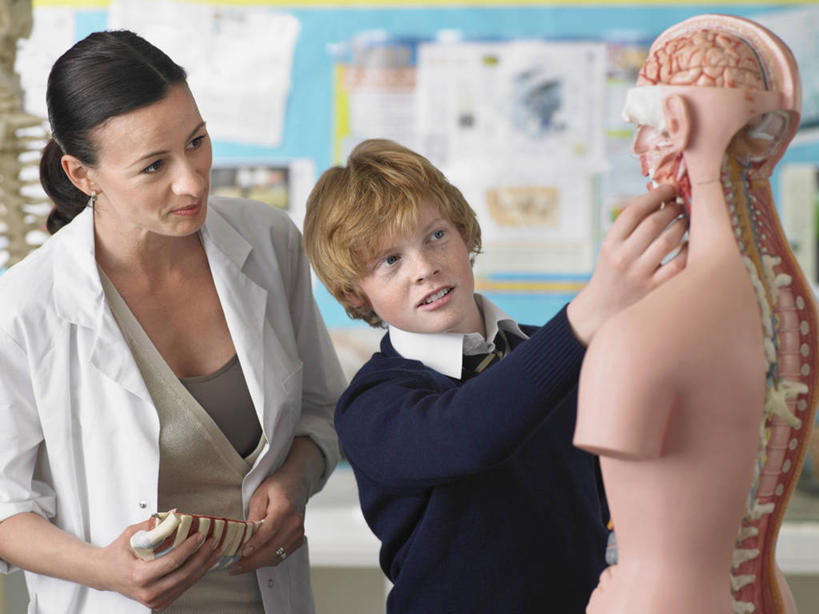 西方人,内脏,动脉,静脉,骨骼,两个人,教师,学校,站,笑,说,微笑,露齿笑,横图,室内,白天,正面,衬衫,制服,讨论,纯洁,欧洲,欧洲人,握,阴影,服装,反射,科学,医学,影子,墙,骨头,注视,校园,墙壁,墙面,衣服,白色,观察,看,站着,教室,校服,可爱,童年,童趣,握着,人体,服饰,观看,骨架,察看,生物学,人体器官,课堂,衣着,器官,白大褂,穿着,关注,童真,烂漫,无邪,实验服,学生服,衣饰,自然科学,博物学,生物科学,交流,天真,男孩,男性,年轻女性,女人,女性,白种人,讲师,教授,老师,沟通,讲话,交谈,商讨,说话,谈话,站立,半身,彩图,衬衣,实验衣