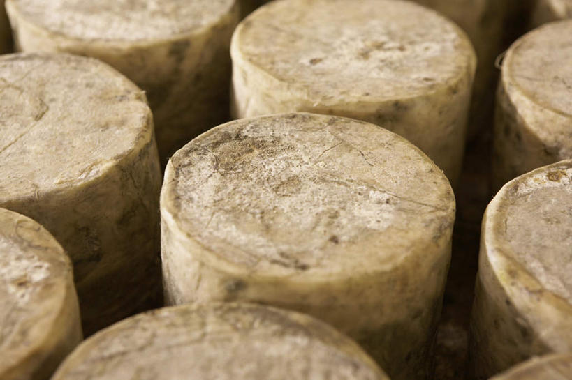 奶酪,无人,横图,俯视,室内,特写,白天,一排,许多,形状,整齐,并列,并排,圆形,包装,包装纸,纸,干酪,起司,棕色,纸张,芝士,很多,营养,仓库,排列,乳酪,包装材料,乳制品,牛皮纸,队列,平行,发酵,形态,外形,彩图,高角度拍摄,堆栈