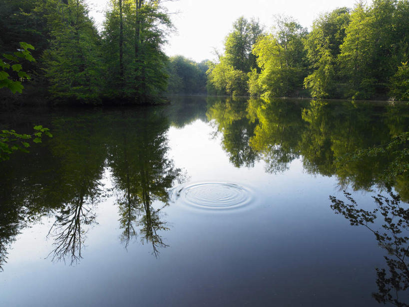 无人,横图,室外,白天,正面,旅游,度假,湖,湖泊,美景,树林,水,植物,比利时,欧洲,阴影,波纹,光线,影子,湖面,景观,水流,水面,涟漪,首都,娱乐,树,树木,蓝色,绿色,倒影,蓝天,水纹,天空,阳光,自然,波浪,湖水,天,享受,休闲,景色,放松,生长,晴朗,成长,倒映,西欧,自然风光,布鲁塞尔,万里无云,水晕,比利时王国,反照,晴空,晴空万里,彩图