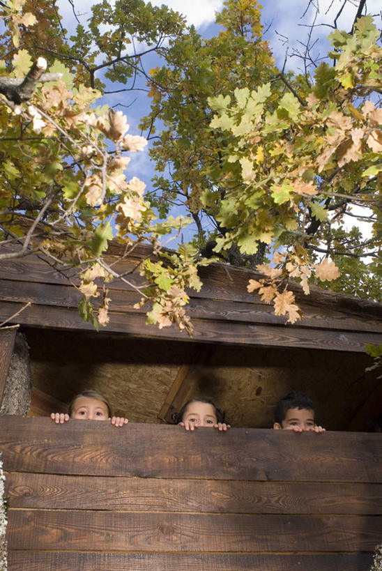 西方人,儿童,三个人,伙伴,朋友,家,木屋,站,竖图,室外,白天,正面,友谊,纯洁,植物,欧洲,欧洲人,一排,阴影,服装,整齐,光线,影子,云,云朵,云彩,注视,休闲装,住宅,树,树木,排列,小孩,衣服,蓝色,绿色,白云,蓝天,天空,阳光,自然,天,观察,看,站着,休闲,休闲服,可爱,童年,童趣,服饰,生长,晴朗,成长,观看,察看,队列,关注,童真,烂漫,无邪,天真,友情,男孩,男人,男性,女孩,女人,女性,白种人,晴空,站立,半身,彩图,茅舍,茅屋,棚屋,小木屋,小屋,树屋,男生,女生