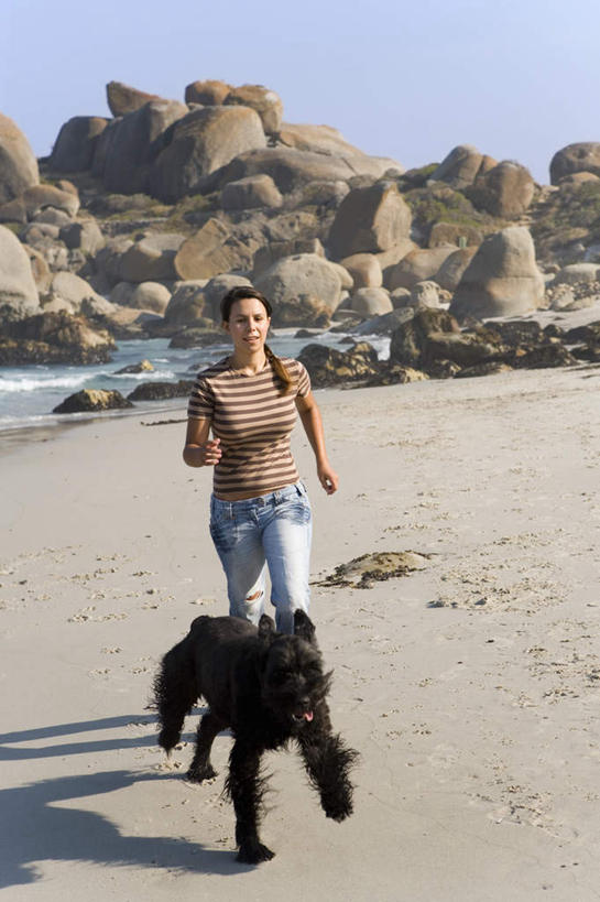 西方人,一个人,跑,竖图,室外,白天,正面,锻炼,运动,海浪,海洋,石头,沙滩,宠物,狗,欧洲,欧洲人,仅一个年轻女性,仅一个女性,仅一个人,阴影,服装,裤子,光线,沙子,石子,影子,海岸,浪花,沙地,注视,牛仔裤,休闲装,一只,衣服,蓝色,黑色,蓝天,天空,阳光,海水,动物,天,观察,看,休闲,休闲服,可爱,服饰,晴朗,观看,察看,关注,寻回犬,海景,忠诚,万里无云,寻回狗,体育,年轻女性,女人,女性,白种人,大海,风浪,海,海水的波动,海滩,近岸浪,石块,岩石,涌浪,晴空,晴空万里,犬,跑步,彩图,全身,健身,平毛寻回猎犬,平毛寻回犬