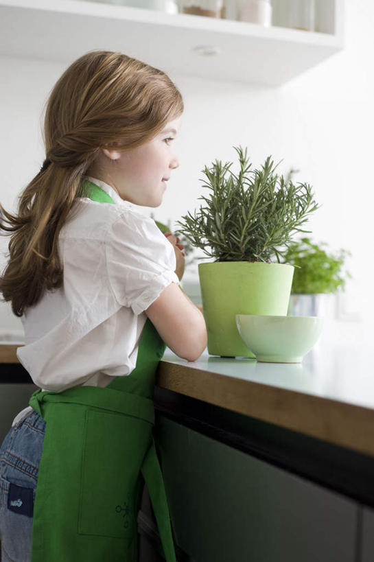 西方人,儿童,一个人,站,笑,微笑,露齿笑,竖图,室内,白天,侧面,衬衫,纯洁,植物,厨房,桌面,桌子,花盆,欧洲,欧洲人,仅一个女性,仅一个人,盆栽,围裙,棕色,盆景,注视,小孩,绿色,自然,香草,观察,看,站着,仅一个小孩,可爱,童年,童趣,生长,成长,观看,迷迭香,察看,关注,童真,烂漫,无邪,海洋之露,芳香植物,天真,女孩,女人,女性,白种人,孩子,长发,卷发,站立,半身,彩图,衬衣,灶间,厨房料理台,女生,料理台