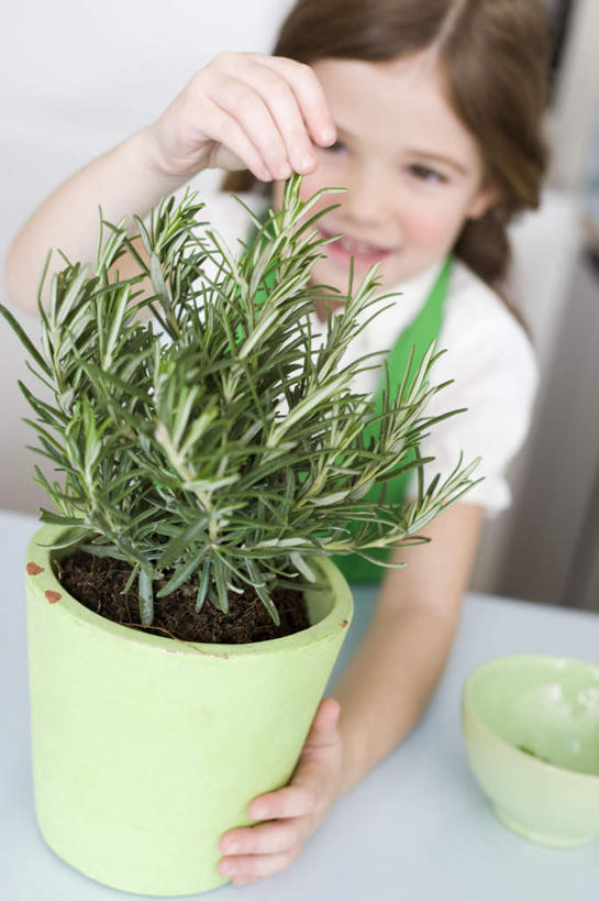 西方人,儿童,一个人,站,笑,摸,微笑,露齿笑,竖图,俯视,室内,白天,衬衫,纯洁,采摘,植物,厨房,桌面,桌子,花盆,欧洲,欧洲人,仅一个女性,仅一个人,抚摸,盆栽,围裙,陶瓷,棕色,盆景,陶瓷制品,注视,小孩,绿色,自然,容器,碗,香草,观察,看,站着,仅一个小孩,可爱,童年,童趣,生长,成长,观看,储藏,迷迭香,察看,储存,关注,童真,烂漫,无邪,海洋之露,芳香植物,天真,女孩,女人,女性,白种人,孩子,长发,卷发,触摸,接触,站立,半身,彩图,高角度拍摄,衬衣,灶间,厨房料理台,贮存,女生,料理台