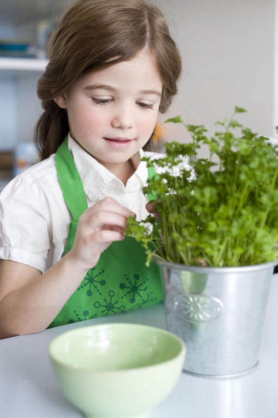 西方人,儿童,一个人,站,笑,微笑,露齿笑,竖图,室内,白天,正面,衬衫,纯洁,采摘,植物,厨房,桌面,桌子,花盆,欧洲,欧洲人,仅一个女性,仅一个人,盆栽,围裙,陶瓷,墙,棕色,盆景,陶瓷制品,注视,墙壁,墙面,小孩,绿色,自然,容器,碗,香草,观察,看,站着,仅一个小孩,可爱,童年,童趣,生长,成长,观看,储藏,迷迭香,察看,储存,关注,童真,烂漫,无邪,海洋之露,芳香植物,天真,女孩,女人,女性,白种人,孩子,长发,卷发,站立,半身,彩图,衬衣,灶间,厨房料理台,贮存,女生,料理台