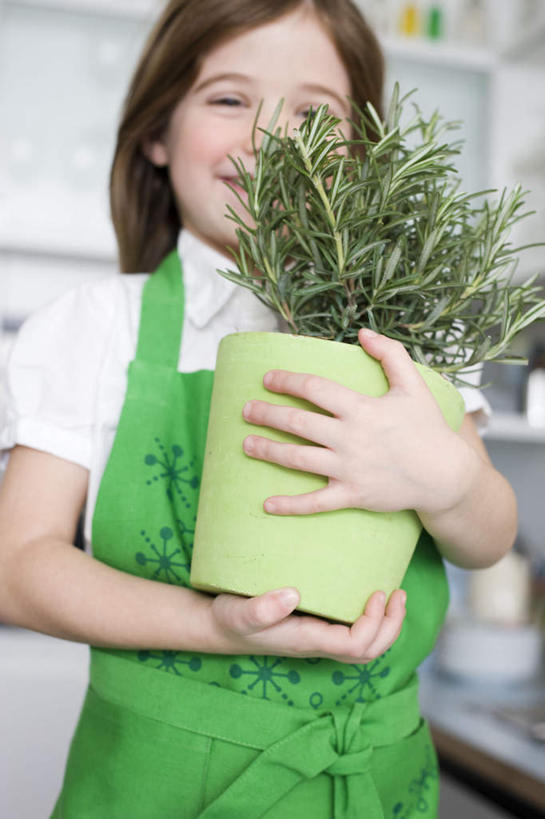 西方人,儿童,一个人,站,捧,笑,微笑,露齿笑,竖图,室内,白天,正面,衬衫,纯洁,植物,厨房,花盆,欧洲,欧洲人,仅一个女性,仅一个人,盆栽,围裙,棕色,盆景,注视,小孩,绿色,自然,香草,观察,看,站着,仅一个小孩,可爱,童年,童趣,生长,成长,观看,迷迭香,察看,关注,童真,烂漫,无邪,海洋之露,芳香植物,天真,女孩,女人,女性,白种人,孩子,长发,卷发,端,端着,捧着,手捧,站立,半身,彩图,衬衣,灶间,女生