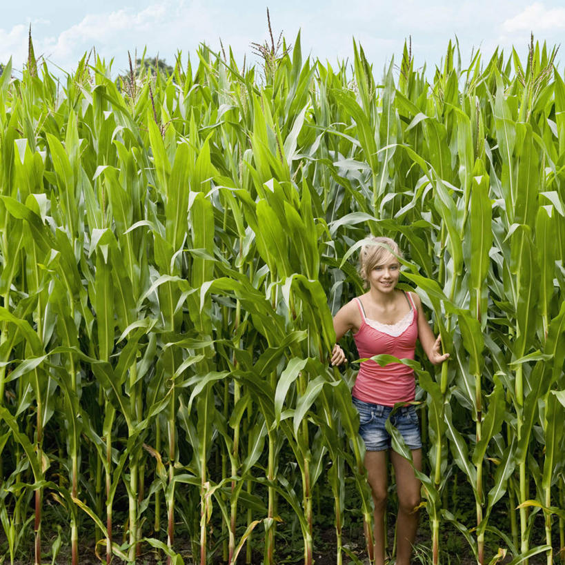 西方人,一个人,农田,站,方图,室外,白天,正面,庄稼,农作物,欧洲,欧洲人,仅一个年轻女性,仅一个女性,仅一个人,握,阴影,服装,光线,影子,云,云朵,拿,云彩,拿着,注视,休闲装,衣服,红色,蓝色,绿色,白云,蓝天,天空,阳光,天,扶,观察,看,站着,休闲,休闲服,握着,服饰,晴朗,观看,察看,扶着,关注,年轻女性,女人,女性,白种人,晴空,玉米田,站立,半身,彩图,耕地,庄稼田
