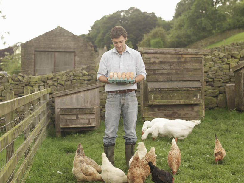 西方人,一个人,农民,家,木屋,农场,栏杆,站,捧,笑,微笑,横图,室外,白天,正面,畜牧业,牧场,草地,草坪,植物,鸡,鞋子,欧洲,欧洲人,仅一个男性,仅一个人,一排,服装,环保,整齐,并列,并排,蛋格,雨鞋,雨靴,栅栏,篱笆,围栏,蛋,鸡蛋,注视,休闲装,靴子,护栏,家禽,住宅,草,树,树木,排列,仅一个年轻男性,衣服,绿色,自然,动物,观察,看,站着,休闲,休闲服,服饰,牲畜,生长,能源,成长,观看,回收,资源,察看,队列,关注,胶鞋,平行,利用,低碳,循环,畜牧,蛋托,牧业,蛋盒,卵,持续,男人,男性,年轻男性,白种人,佃农,农场主,农夫,农工,乡下人,小农,庄稼人,端,端着,捧着,手捧,站立,彩图,全身,茅舍,茅屋,棚屋,小木屋,小屋