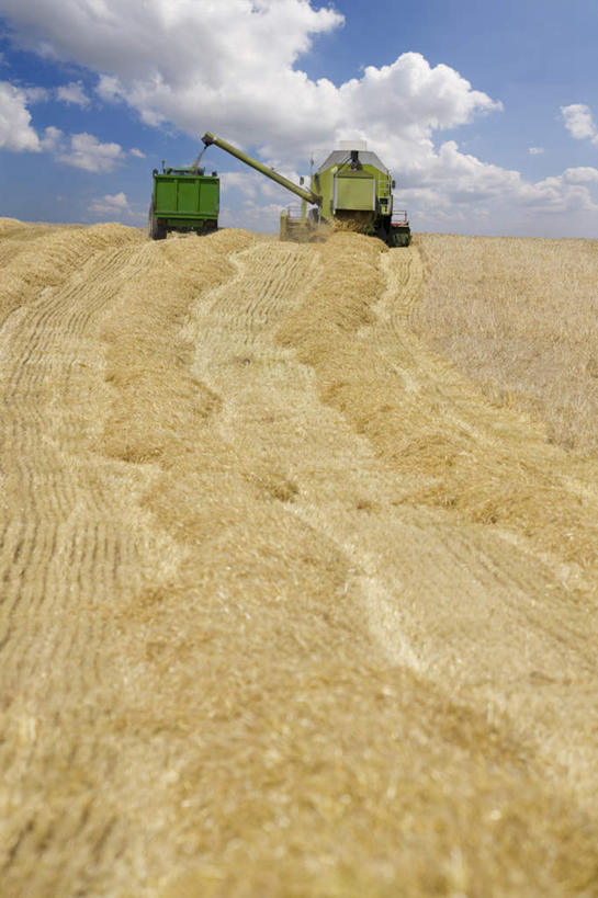 无人,农田,竖图,室外,白天,仰视,旅游,度假,农业,庄稼,农作物,收割,美景,英国,欧洲,阴影,丰收,光线,工具,影子,稻田,景观,云,云朵,云彩,娱乐,英格兰,蓝色,白云,蓝天,天空,阳光,自然,天,享受,休闲,景色,放松,收获,晴朗,西欧,自然风光,大不列颠,收割机,农具,大不列颠及北爱尔兰联合王国,大不列颠联合王国,日不落英帝国,英吉利,威尔特郡,脱粒,晴空,彩图,低角度拍摄,耕地,庄稼田