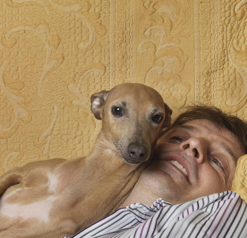 西方人,脸,头,脸颊,一个人,躺,横图,室内,特写,白天,正面,宠物,狗,欧洲,欧洲人,仅一个男性,仅一个人,仅一个中年男性,服装,墙,注视,休闲装,惠比特犬,墙壁,墙面,一只,衣服,动物,观察,看,休闲,休闲服,可爱,服饰,观看,察看,关注,忠诚,卧着,男人,男性,中年男性,白种人,头部,脸部,脸蛋,面部,犬,躺着,卧,半身,彩图,惠比特,威比特犬