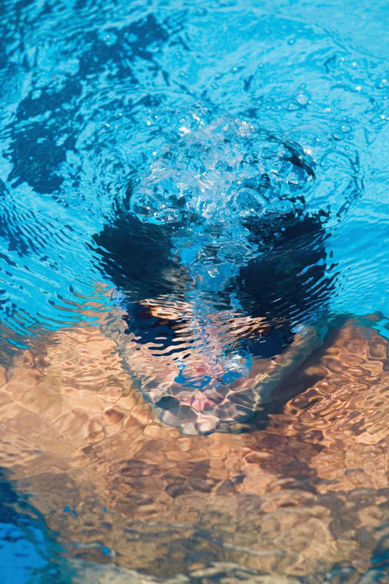 游泳,西方人,一个人,体育馆,游泳池,竖图,室内,白天,仰视,水,帽子,欧洲,欧洲人,仅一个男性,仅一个人,仅一个中年男性,飞溅,泳帽,溅,液体,泳镜,水池,水滴,水花,水面,泳池,水珠,游泳馆,喷洒,游泳帽,呼吸,泅水,男人,男性,中年男性,白种人,半身,彩图,低角度拍摄